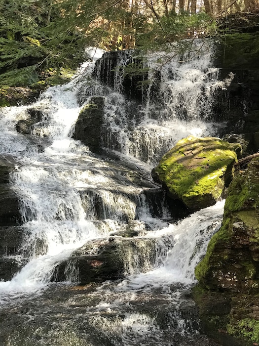 Photo shows a waterfall at Prompton State Park