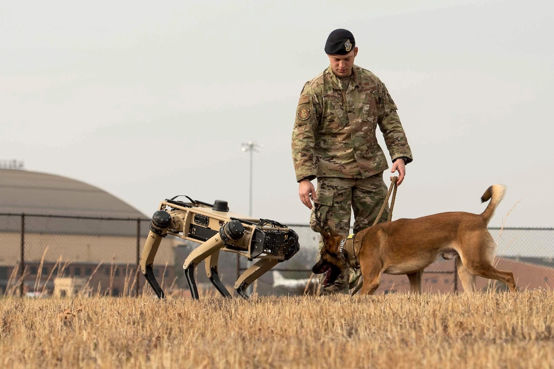 An airman watches as a dog and robot dog face each other in a field.