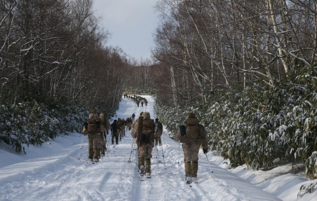 U.S. Marines from Golf Company, 2nd Battalion, 3rd Marine Regiment, 3rd Marine Division, conduct bilateral ski patrol training with Soldiers from 5th Brigade, Japan Ground Self-Defense Force (JGSDF), during exercise Northern Viper on Hokudaien Training Area, Hokkaido, Japan, Jan. 24, 2020. Northern Viper is a regularly scheduled training exercise that is designed to enhance the collective defense capabilities of the U.S. and Japan Alliance by exposing members of both forces to intense training in an austere environment, allowing them to perfect their skills in any clime and place. (U.S. Marine Corps Photo By Cpl. Cameron E. Parks)