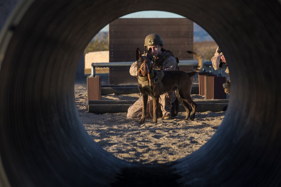 A U.S. Marine conducts a training obstacle course on Yuma Proving Grounds, Jan. 08.