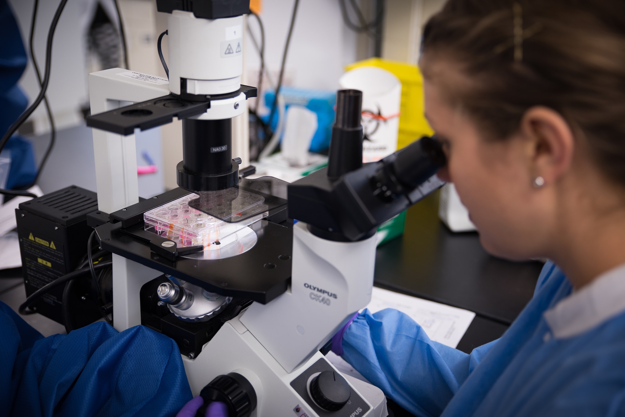 Catherine Teti, medical laboratory technician in USAFSAM's public health and preventive medicine department, analyzes specimens in the Epidemiology Lab. (U.S. Air Force photo/Richard Eldridge)