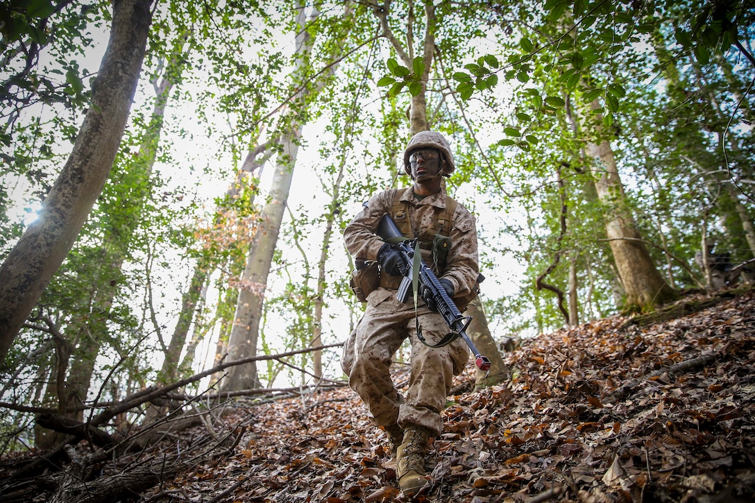 A Marine Corps officer candidate walks through the woods holding a weapon.