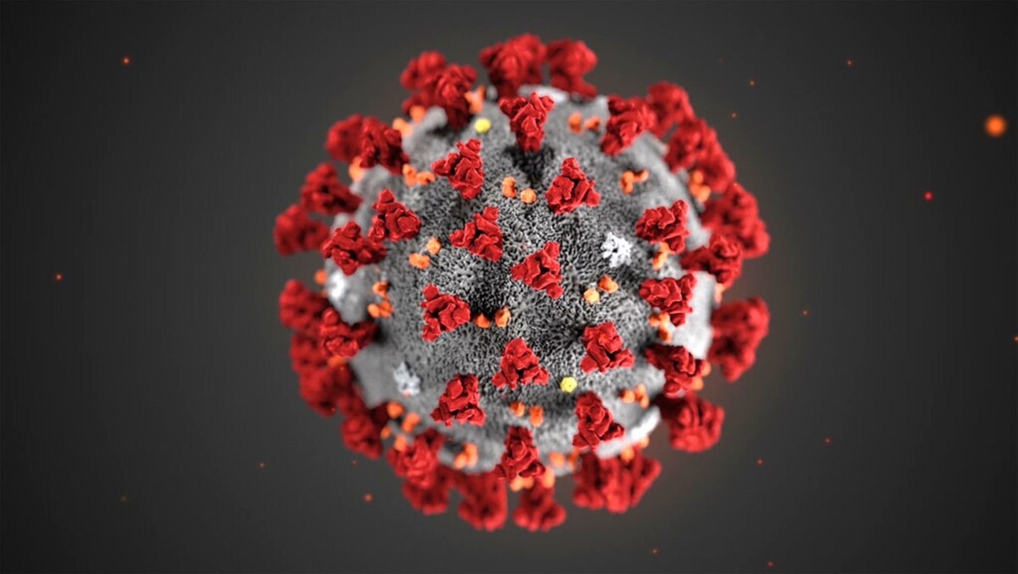 This illustration provided by the Centers for Disease Control and Prevention (CDC) in January 2020 shows the 2019 Novel Coronavirus (2019-nCoV). (CDC via AP)