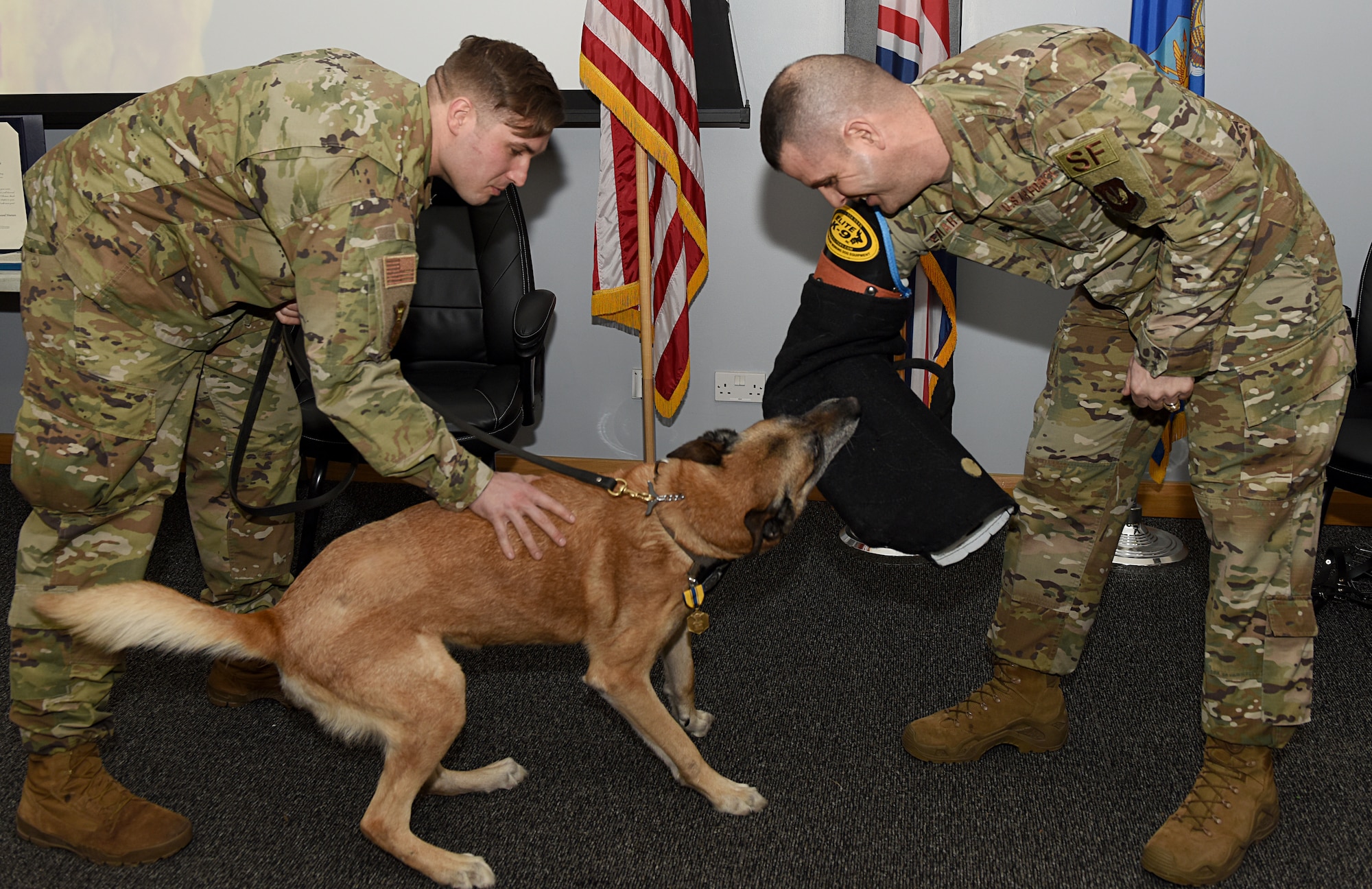YYogi, a 48th Security Forces Squadron military working dog, gets his last bite on Lt. Col. Kevin Eberhart, 48th SFS commander, during his retirement ceremony at Royal Air Force Lakenheath, England, Jan. 30, 2020. Throughout his 10 years of service, YYogi completed eight United States Secret Service missions in London, Greece, Ireland and Portugal. He was also deployed to Turkey in 2016. (U.S Air Force photo by Airman 1st Class Jessi Monte)