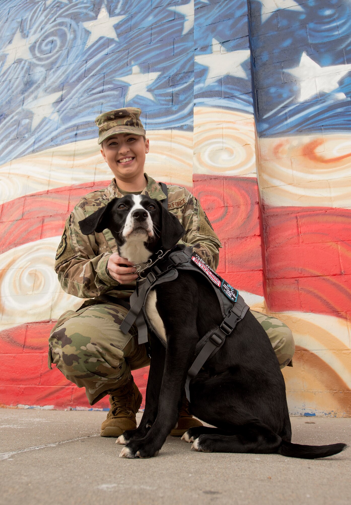 Rescue dogs help heal wounded warriors