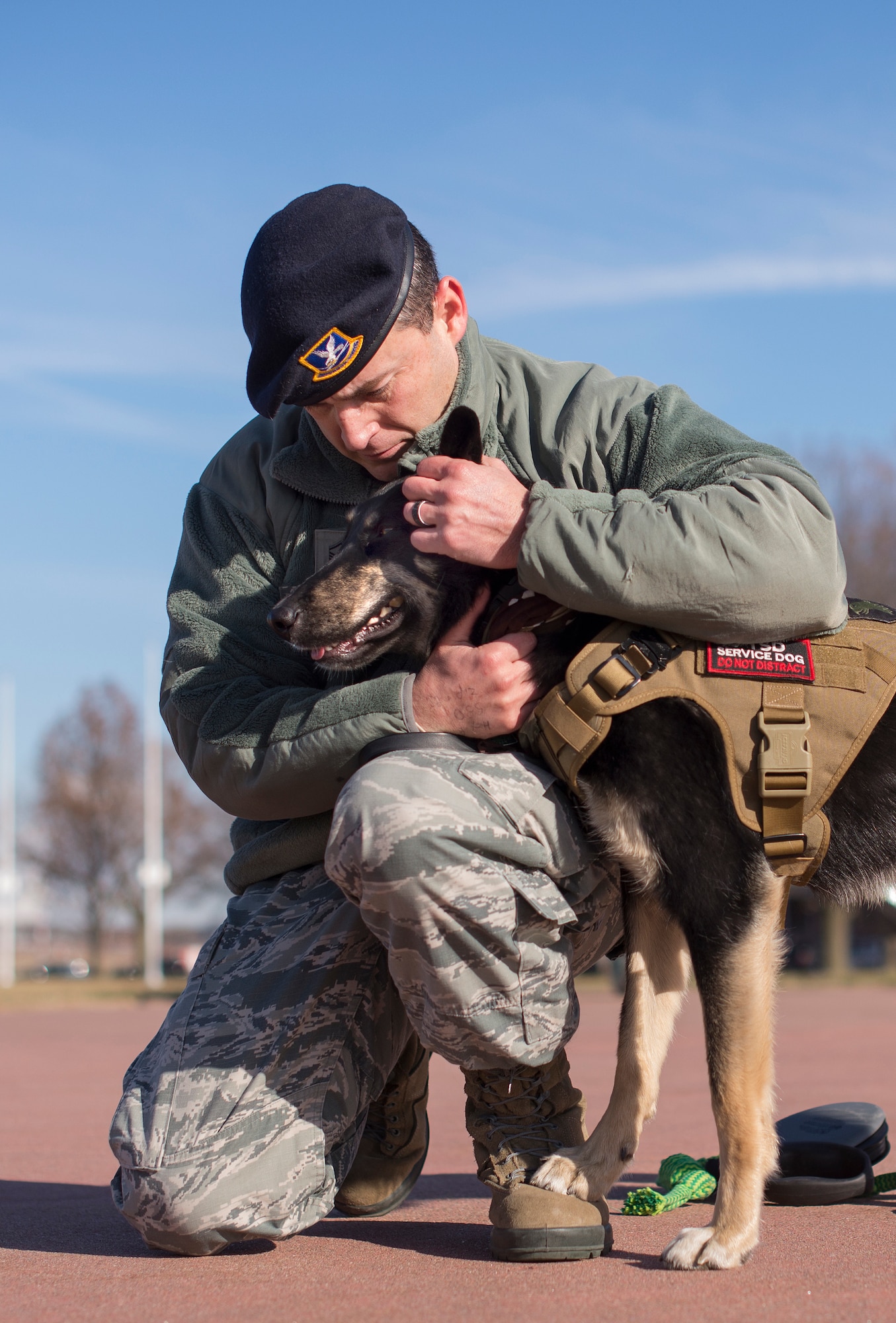 Rescue dogs help heal wounded warriors