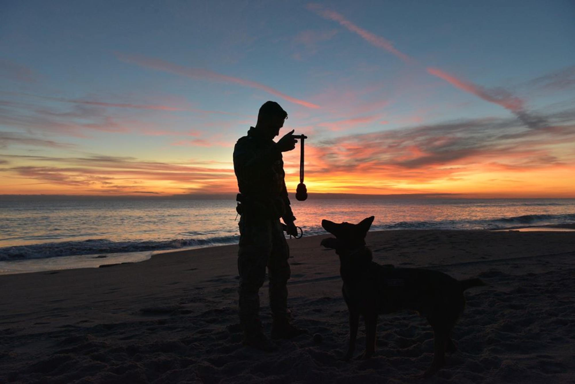 Staff Sgt. Kyle Pethtel, 45th Security Forces Squadron military working dog handler,  performs training with Pieter, 45th SFS military working dog, at Patrick Air Force Base, Fla., Nov. 26, 2019. Pethtel and Pieter have been a MWD team since July 2019. (U.S. Air Force photo by Senior Airman Dalton Williams)