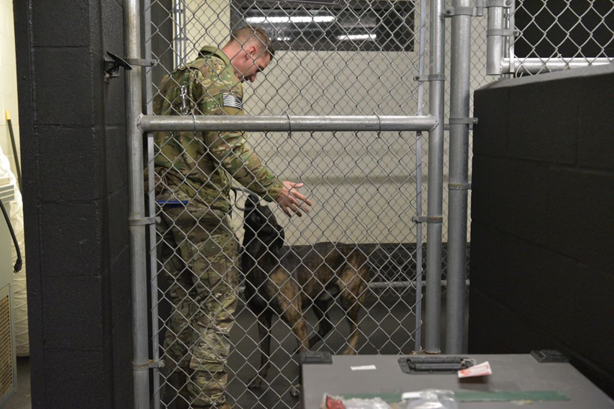 Staff Sgt. Kyle Pethtel, 45th Security Forces Squadron military working dog handler, greets Pieter, his military working dog, at Patrick Air Force Base, Fla., Nov. 26, 2019. Pethtel and Pieter have been a MWD team since July 2019. (U.S. Air Force photo by Senior Airman Dalton Williams)