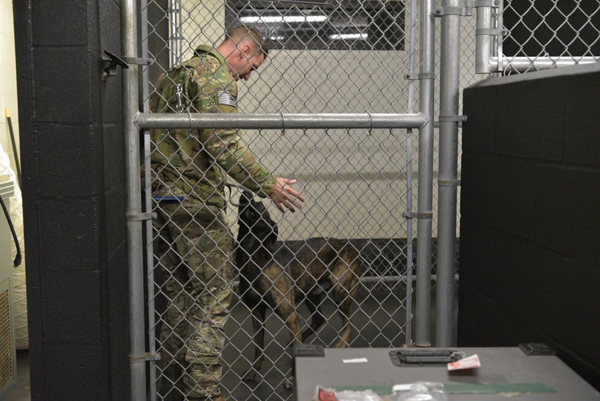 Staff Sgt. Kyle Pethtel, 45th Security Forces Squadron military working dog handler, greets Pieter, his military working dog, at Patrick Air Force Base, Fla., Nov. 26, 2019. Pethtel and Pieter have been a MWD team since July 2019. (U.S. Air Force photo by Senior Airman Dalton Williams)