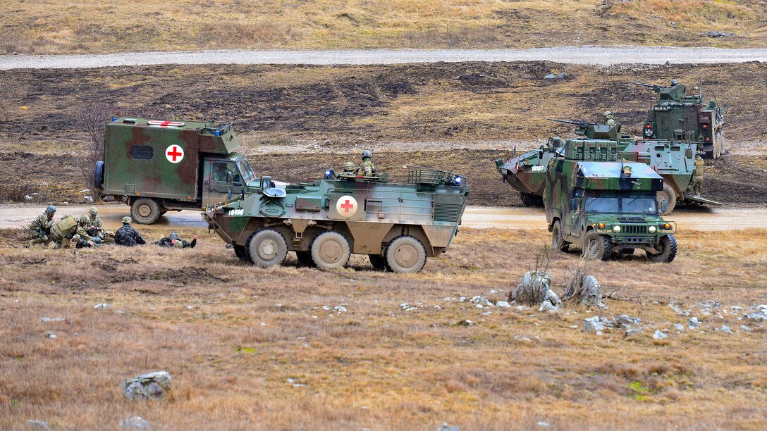 Lipizzaner VI: Medical evacuation exercise