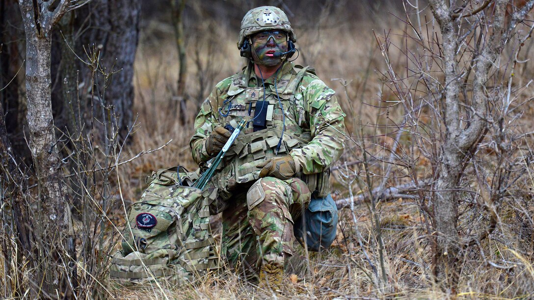 173rd Airborne Brigade at Lipizzaner VI