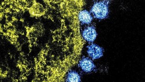 DoD releases guidance to protect forces from novel coronavirus