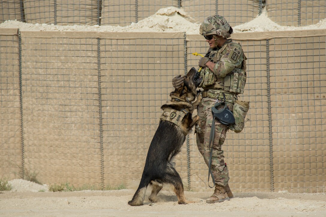 CJTF-OIR