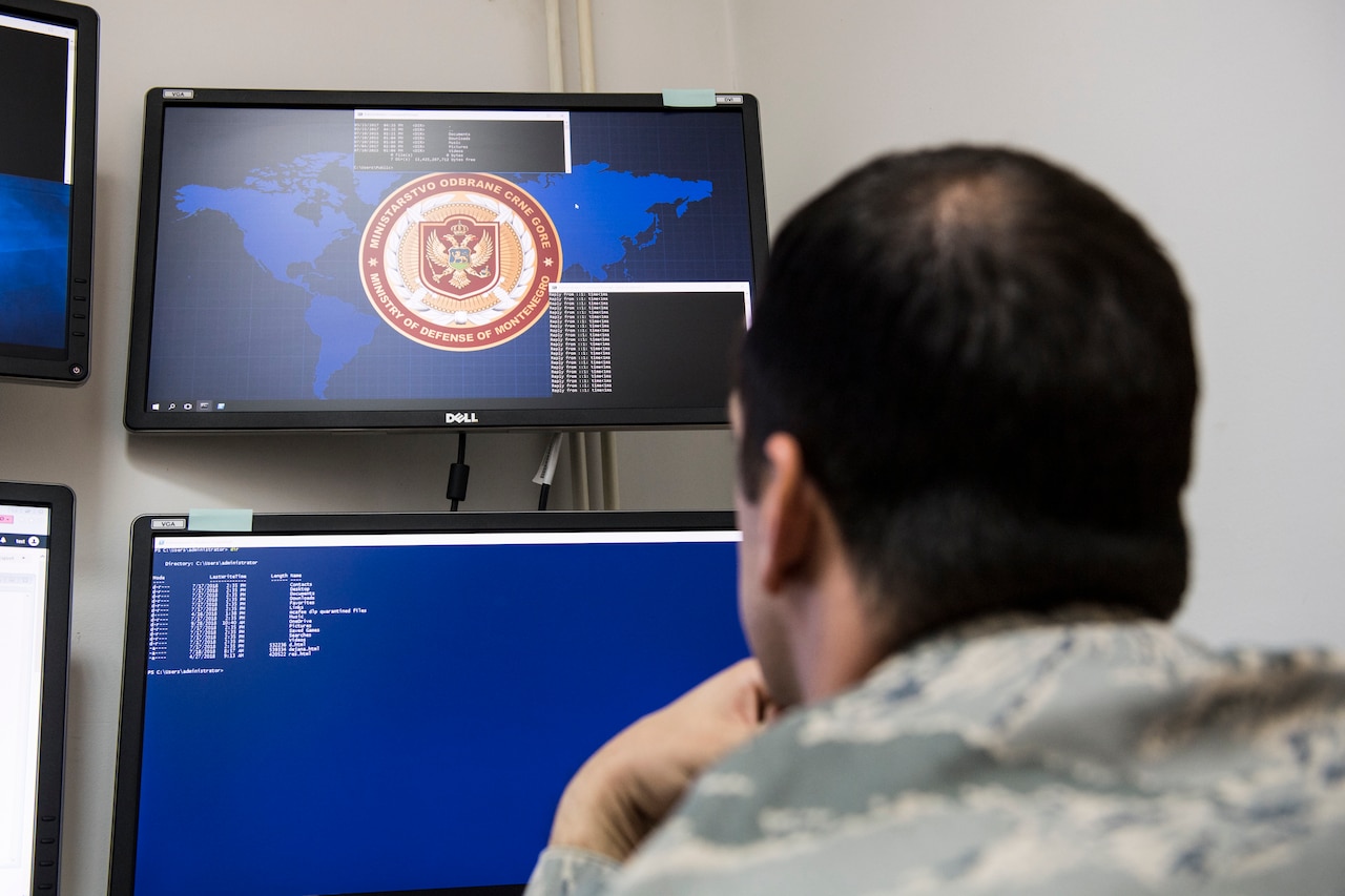 An airman is seen from behind as he looks at a computer monitor.