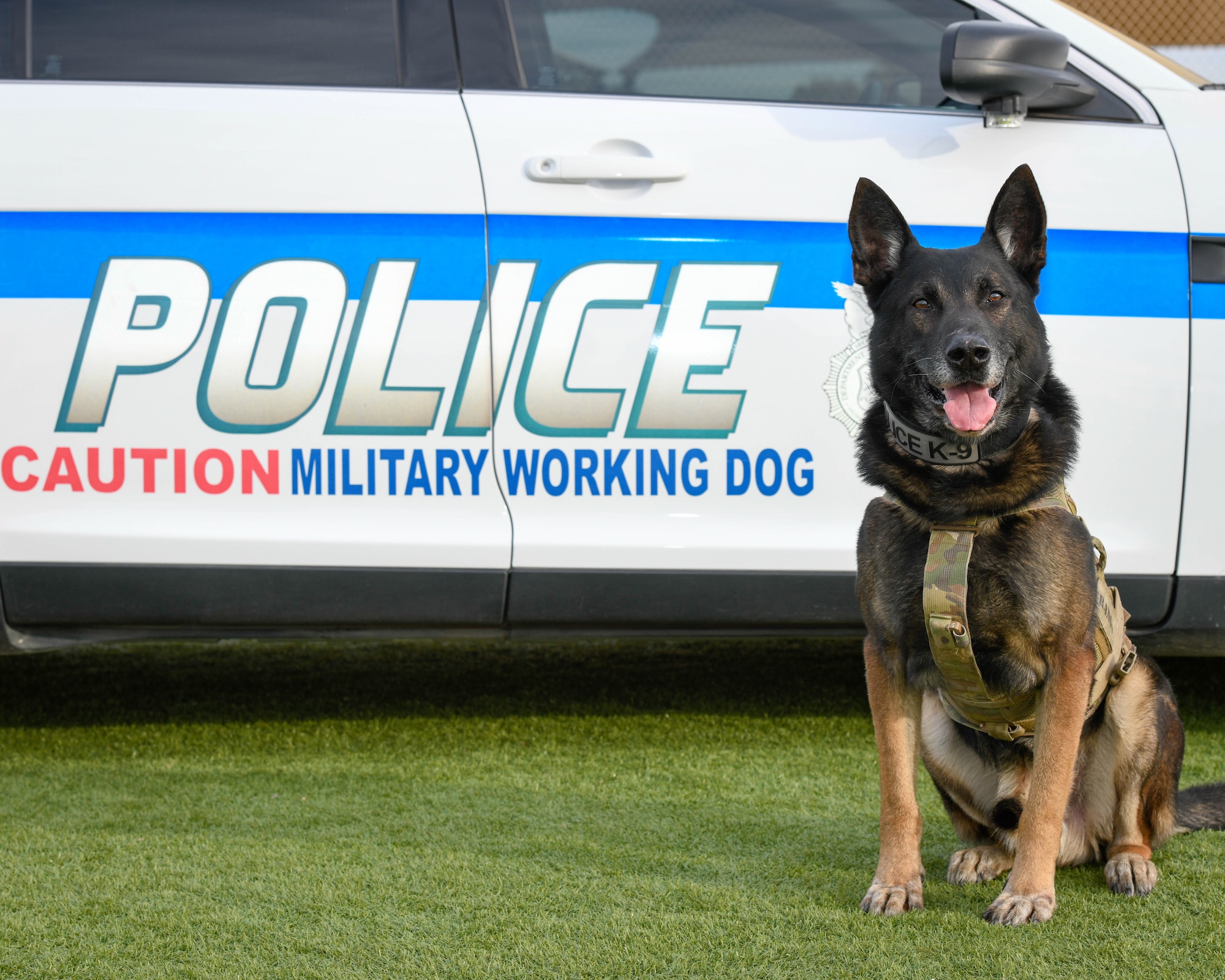 A look at Luke’s MWDs