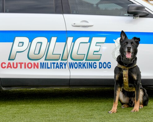 A look at Luke’s MWDs