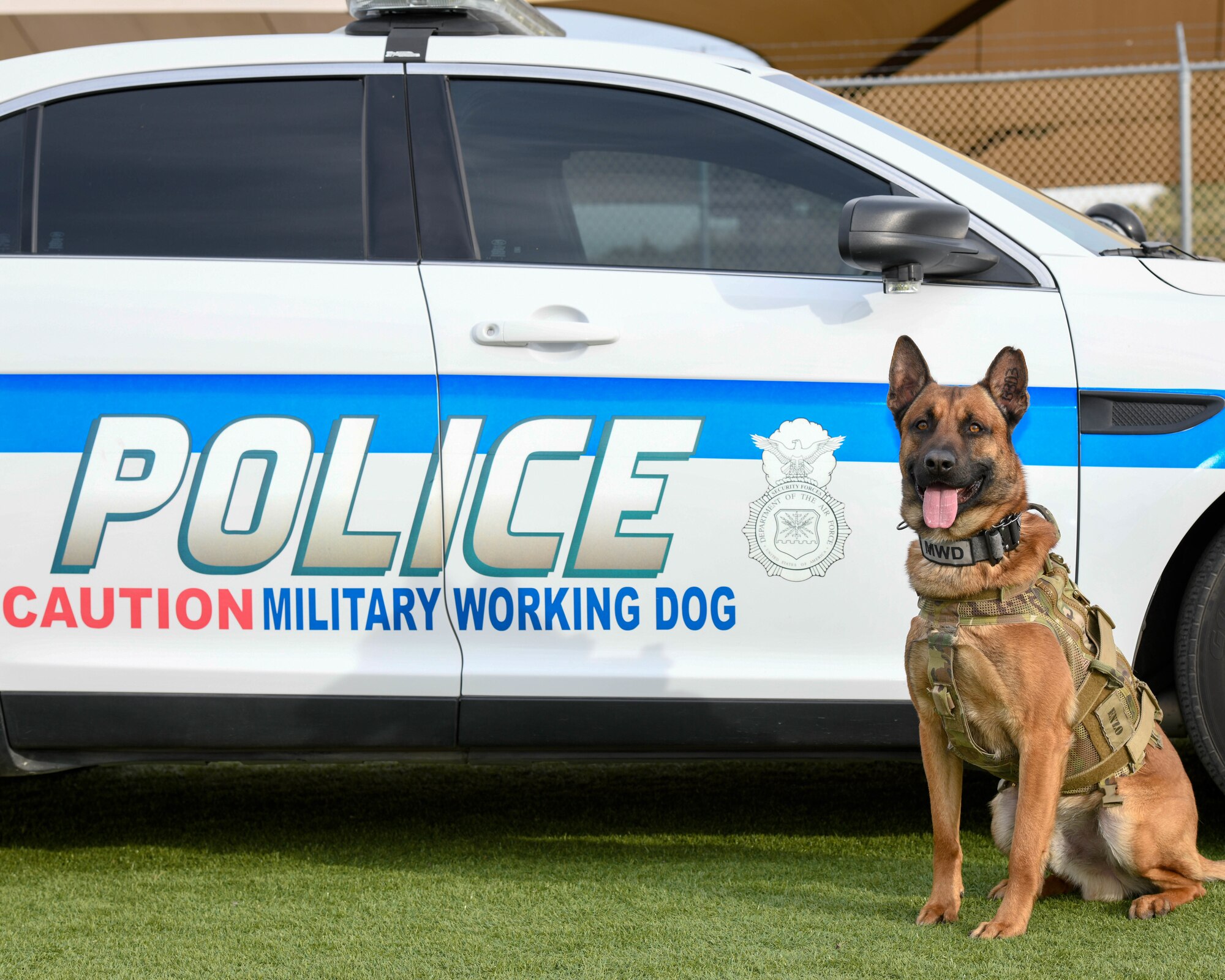 A look at Luke’s MWDs
