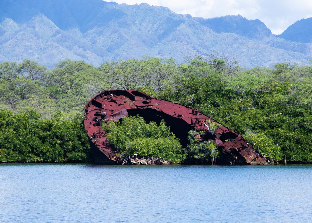 Part of the rusted hull of a 1940s-era ship juts from the water onto land and is overgrown with vegetation.