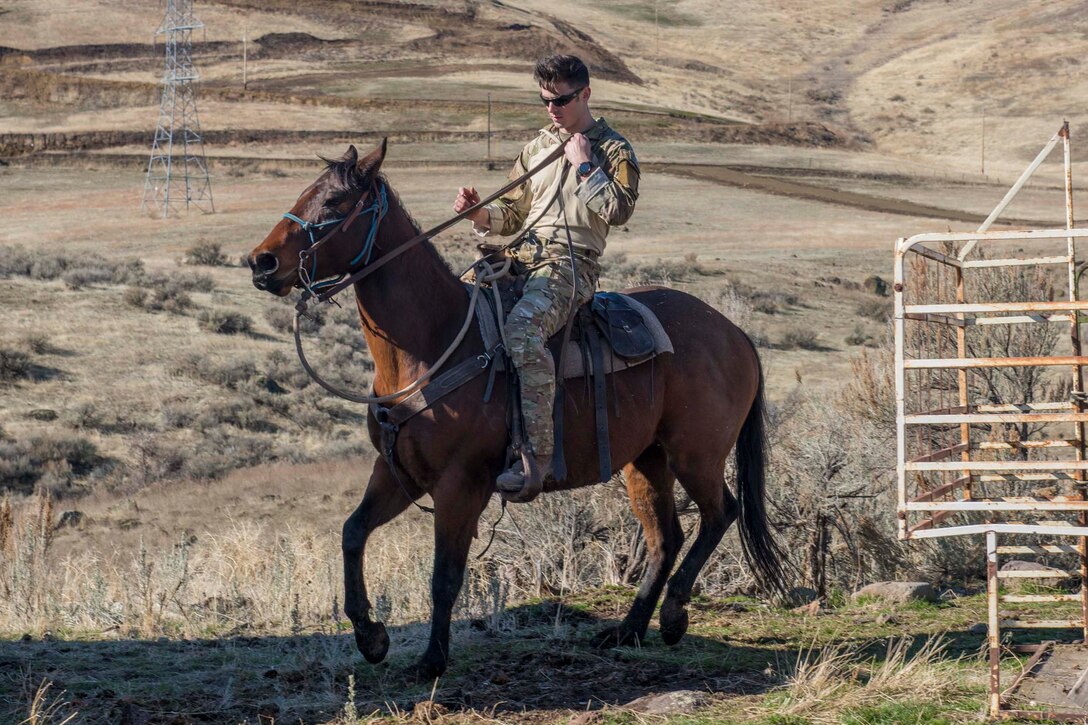 An airman rides on a horse.