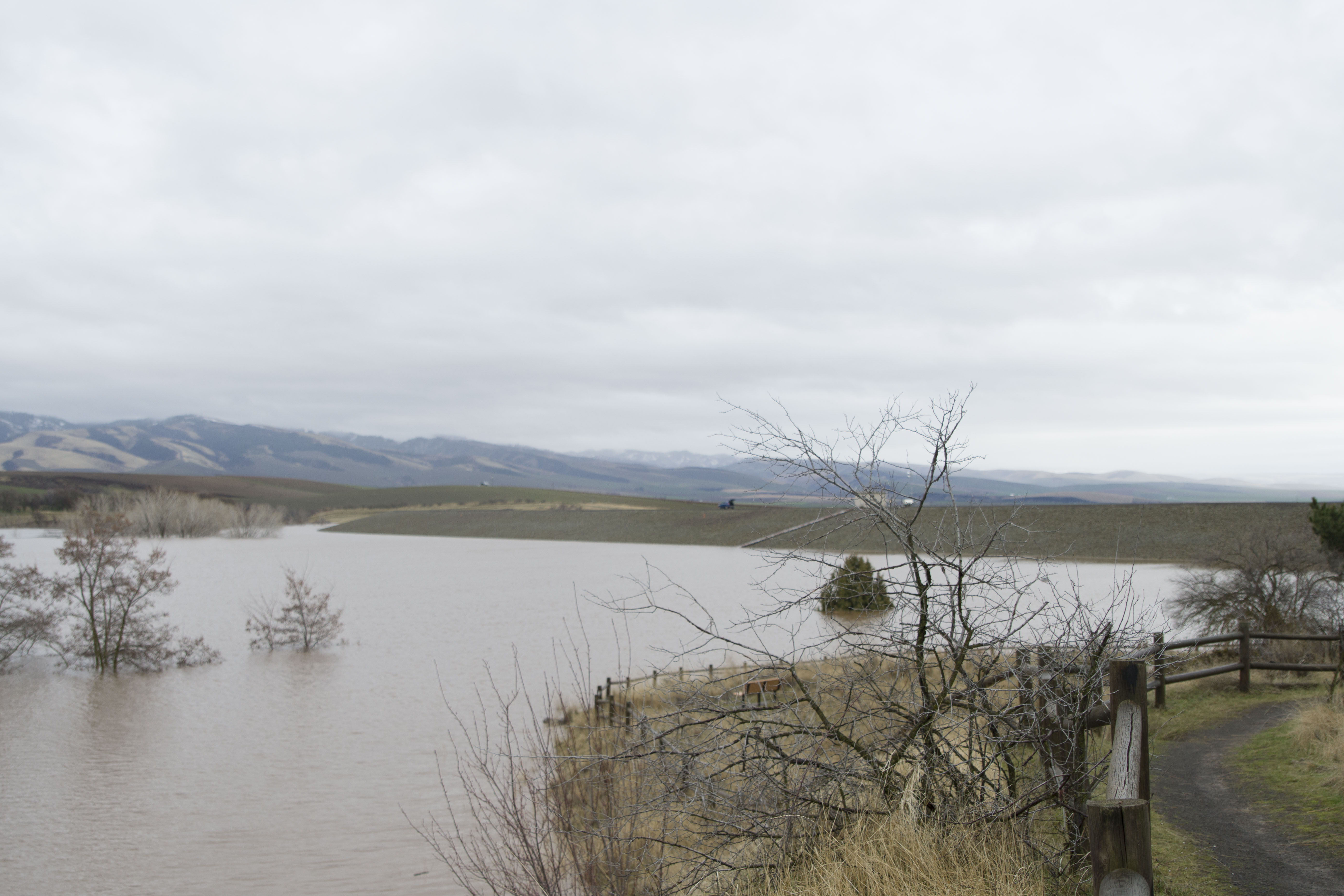 Walla Walla's Mill Creek Channel performed as designed; flood recovery