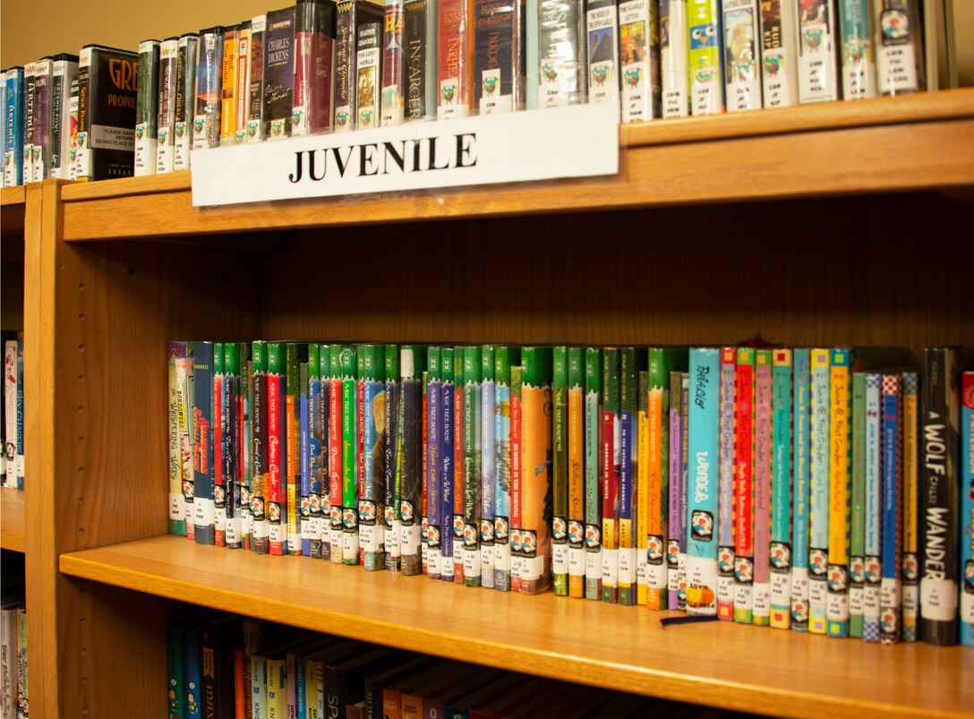 Books line the library shelves on  Feb. 5, 2020 at Tyndall Air Force Base, Florida. The library offers many resources and hosts several programs for the base population. (U.S. Air Force photo by 2nd Lt. Kayla Fitzgerald)