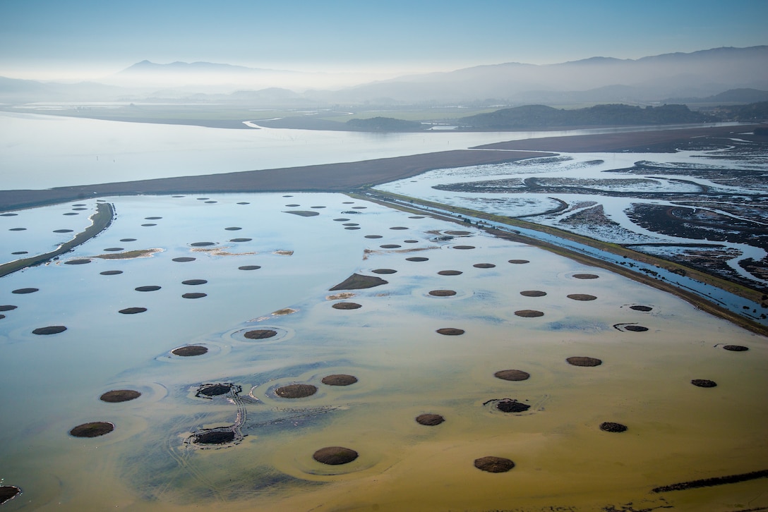 Sears Point is the site of a Natural and Nature-Based Features wetland restoration project in San Pablo Bay, Sonoma County, Calif. To build up marsh elevation, Sonoma Land Trust, Ducks Unlimited and federal, state and private partners utilized round marsh mounds to buffer wind and wave energy, thereby allowing sediment to accrete in the area through natural processes.