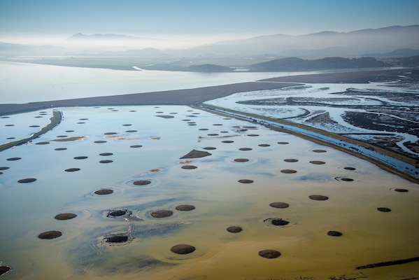 Sears Point is the site of a Natural and Nature-Based Features wetland restoration project in San Pablo Bay, Sonoma County, Calif. To build up marsh elevation, Sonoma Land Trust, Ducks Unlimited and federal, state and private partners utilized round marsh mounds to buffer wind and wave energy, thereby allowing sediment to accrete in the area through natural processes.