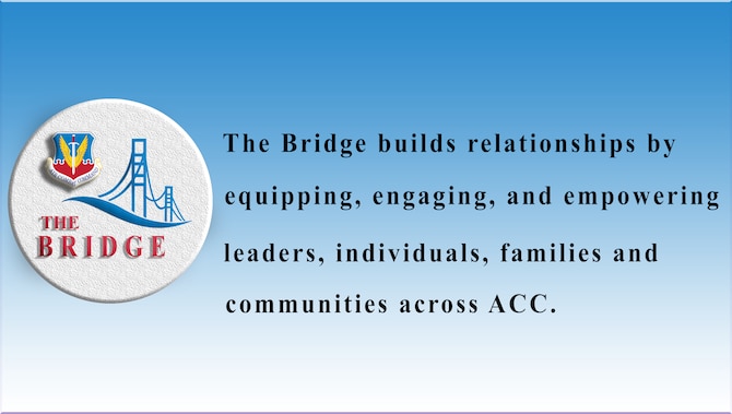 The Bridge graphic