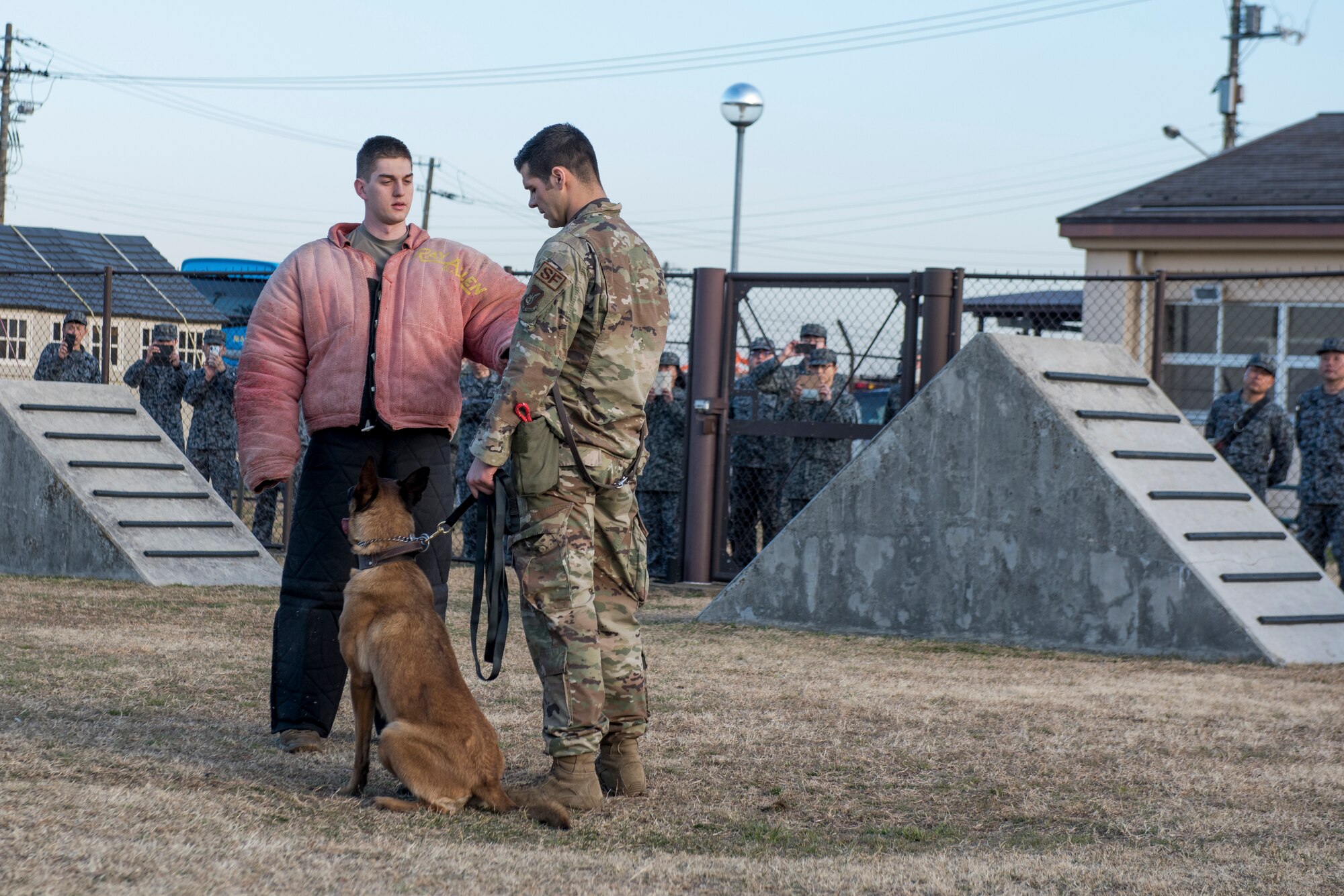 Japan Air Self-Defense Force members observe a military working dog demonstration during a tour at Yokota Air Base, Japan, Feb.12, 2020.