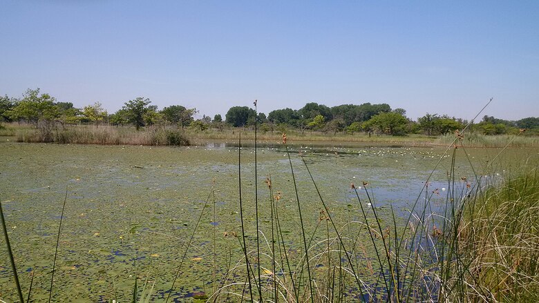 Regulatory Branch