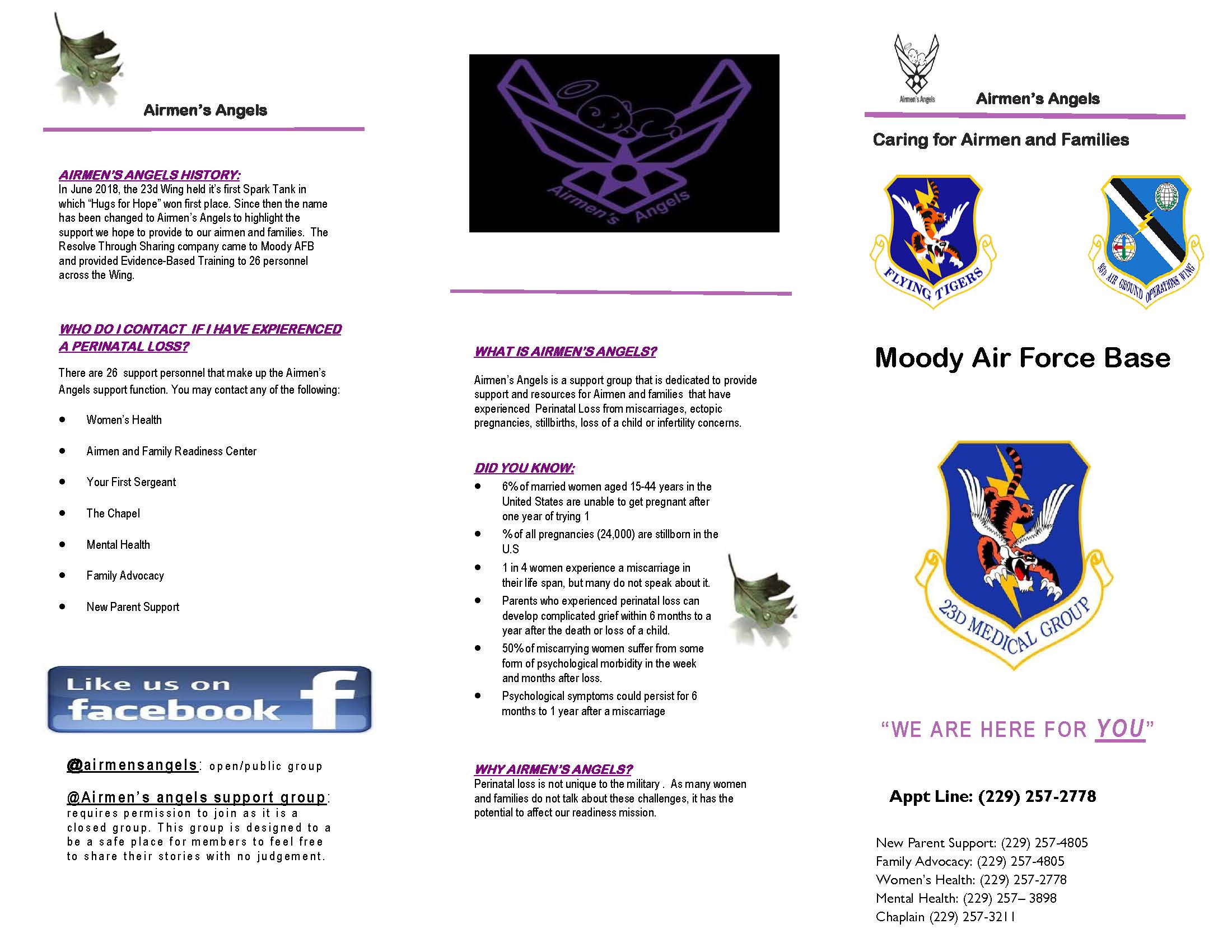 pregnancy-support-program