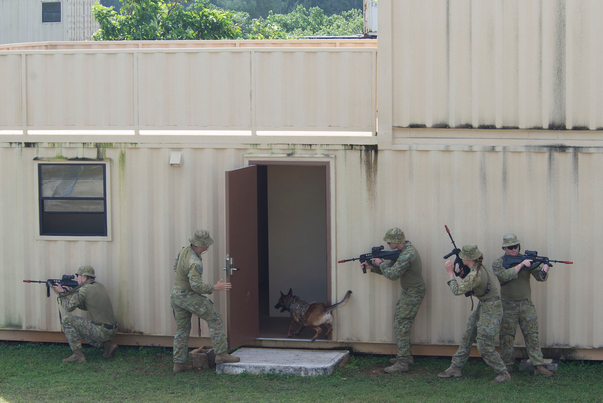 Royal Australian Air Force (RAAF) personnel stand ready as RAAF Military Working Dog (MWD) Xara enters a building to neutralize a simulated threat during Pacific Defender 20-1 at the Pacific Regional Training Center near Andersen Air Force Base, Guam, Feb. 11, 2020.