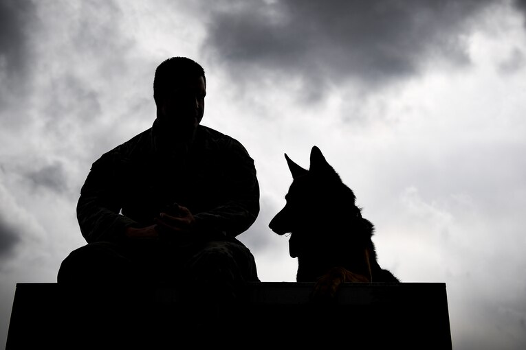 An airman sits with his military working dog.