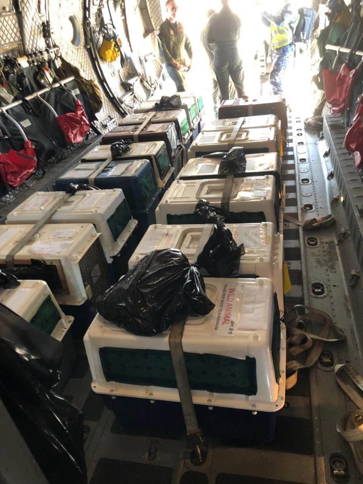 Andersen Answers RAAF Call for Support