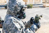 Alpha, beta, gamma oh my!