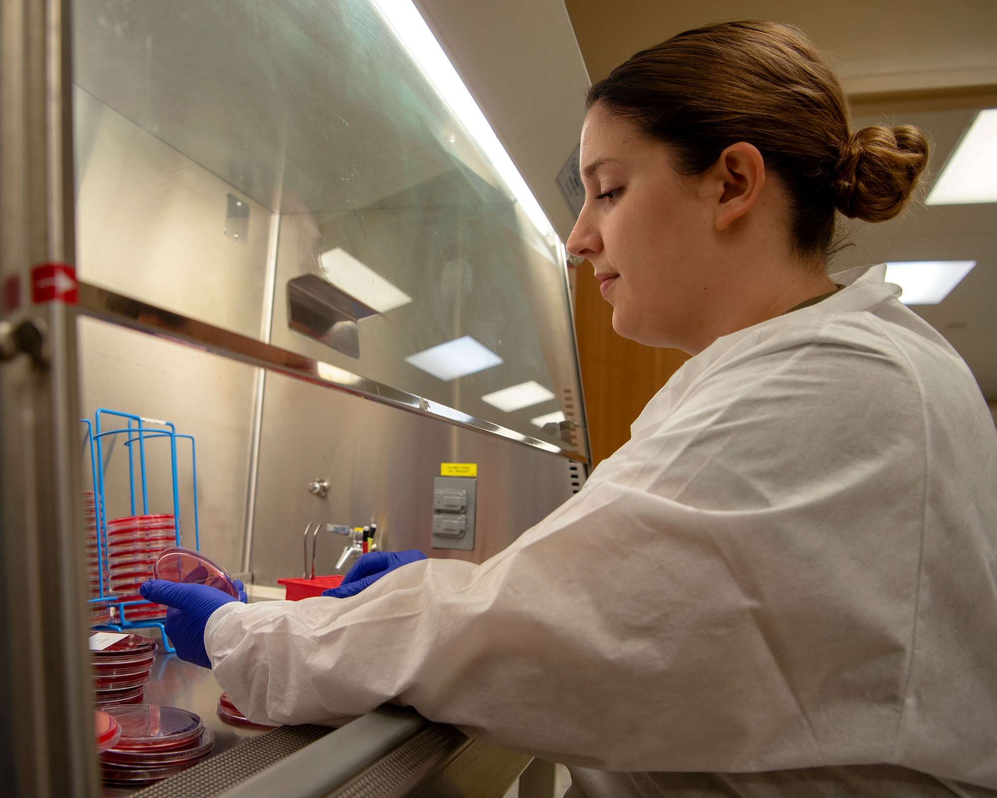 Senior Airman Sydney Daugherty, a laboratory technician at the 6th Medical Group, streaks an agar plate, Feb. 18, 2020, at MacDill Air Force Base, Fla. These samples are allowed time to grow and then tested for different bacteria. If bacteria are found, tests are run to determine what antibiotics work on different types of bacteria.