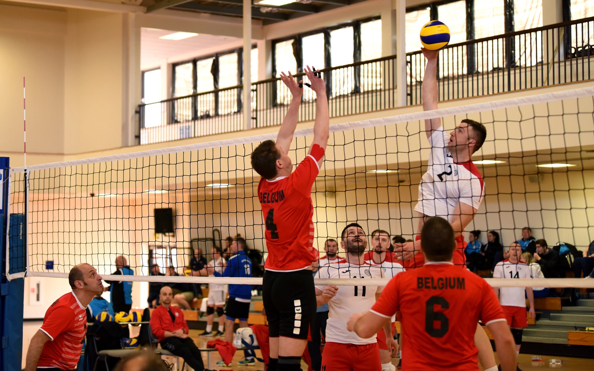 A member of the Polish air force spikes a volleyball during the 2020 Allied Air Command Inter-Nation Volleyball Championship at RAF Mildenhall, England, Feb. 19, 2020. This international sports championship brought together the contributing nations within Allied Air Command with an opportunity for friendly sporting competition. (U.S. Air Force photo by Senior Airman Brandon Esau)