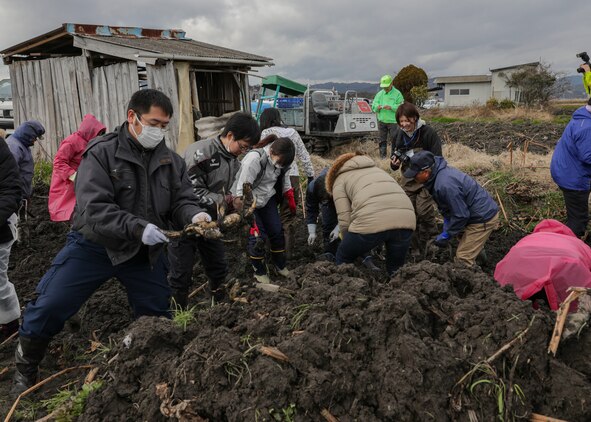 MCAS Iwakuni residents dig and cook lotus roots