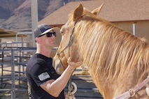 Master Sgt. Patrick Grabowski, logistics/rail operations chief, builds trust with Norman, Marine Corps Mounted Color Guard horse, during a fun-filled day aboard Marine Corps Logistics Base Barstow, Calif., Feb. 19. MCLB Barstow is home to the last remaining  Marine Corps Mounted Color Guard in the Corps. (U.S. Marine Corps photo by Jack J. Adamyk)