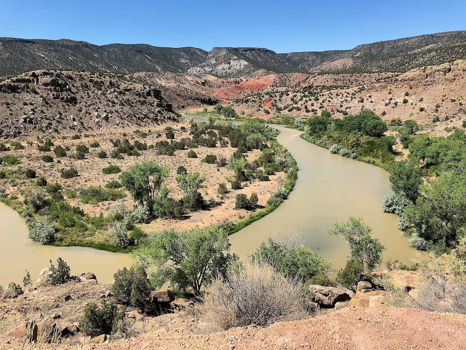 Oxbow in the Rio Chama, just downstream from Abiquiu Dam, June 24, 2018. Photo by Mike Goodrich.