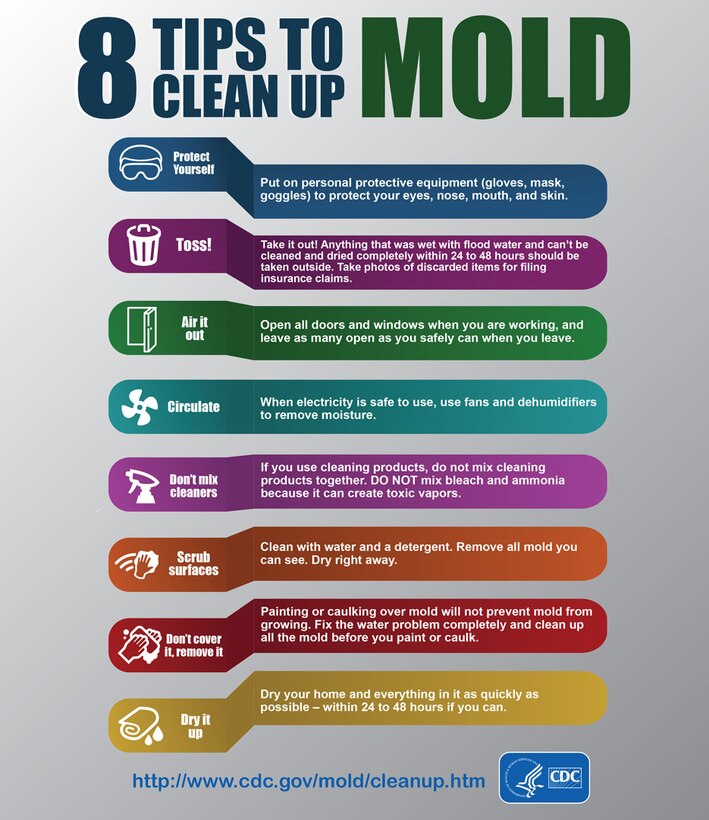 An infographic describes how to keep mold at bay.