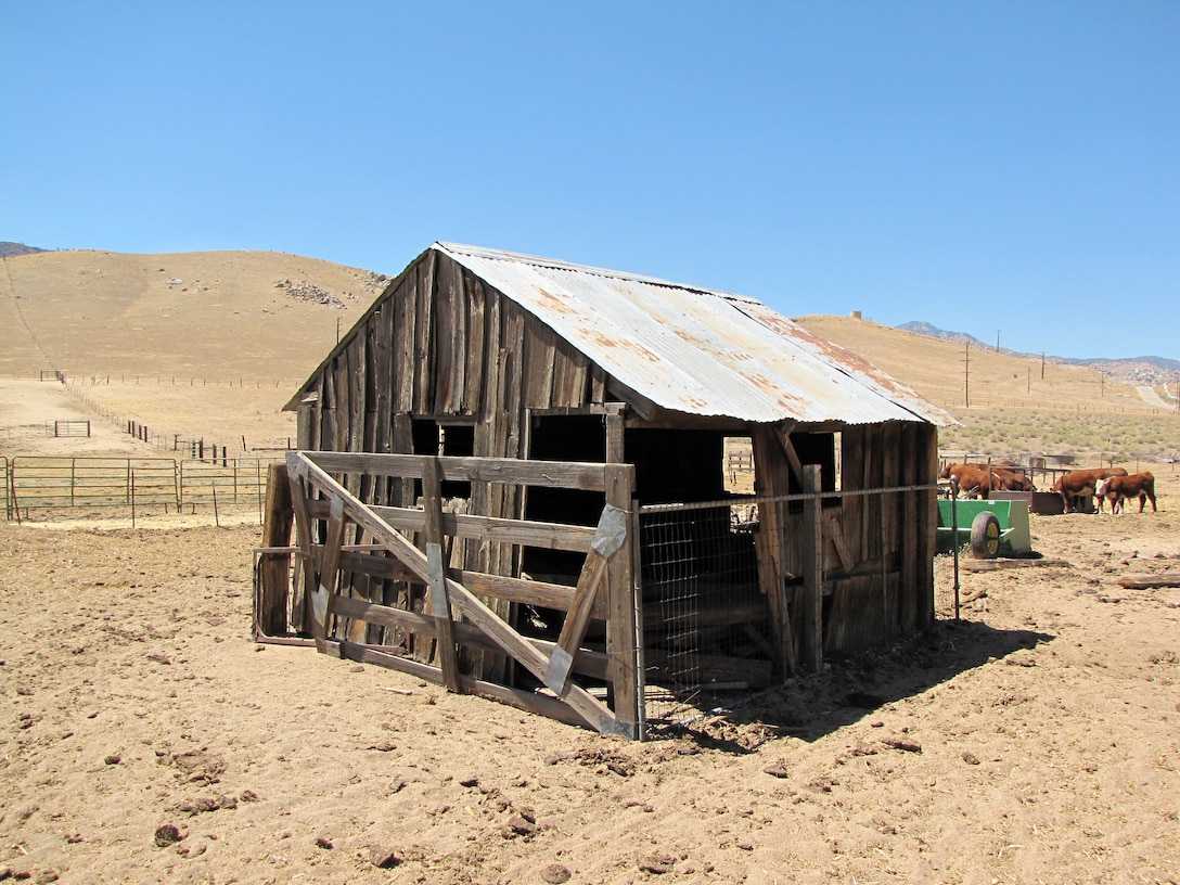 Outbuilding #1