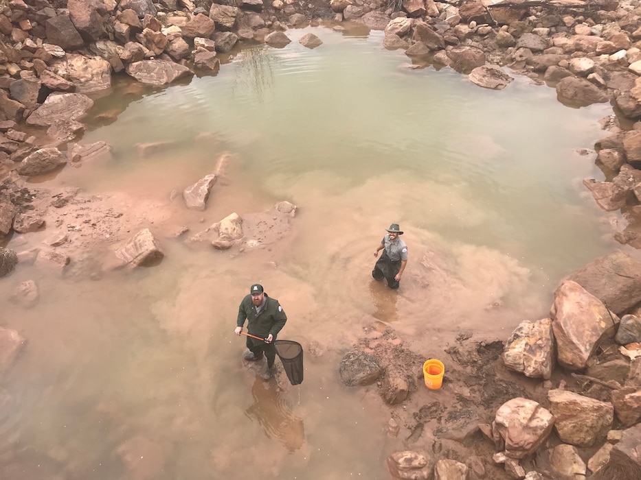 Two USACE park rangers investigate a potential silvery minnow sighting at Galisteo Dam, March 11, 2019. The minnow turned out to be a bullhead minnow. Photo by Karyn Matthews.