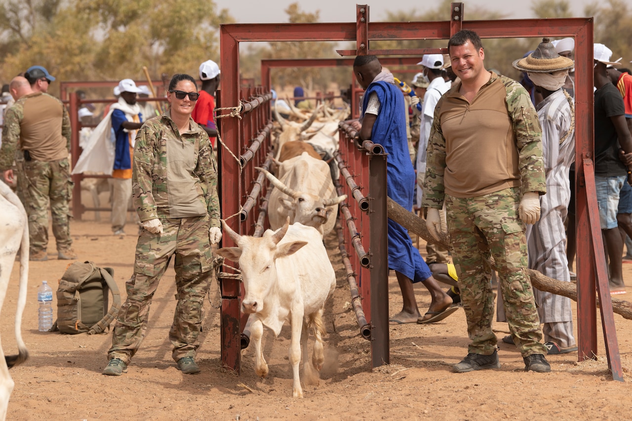 Two soldiers stand side-by-side at a cattle chute; others surround.