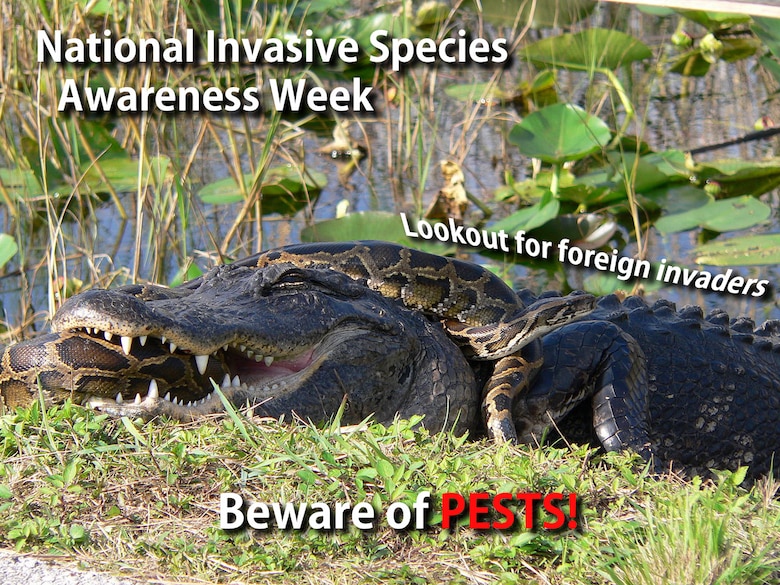 National Invasive Species Awareness Week is an annual observance when people all around the country take time to raise awareness and come up with solutions for the effects that non-native species can have on local communities and ecosystems. (U.S. Air Force photo by Senior Airman Stefan Alvarez)