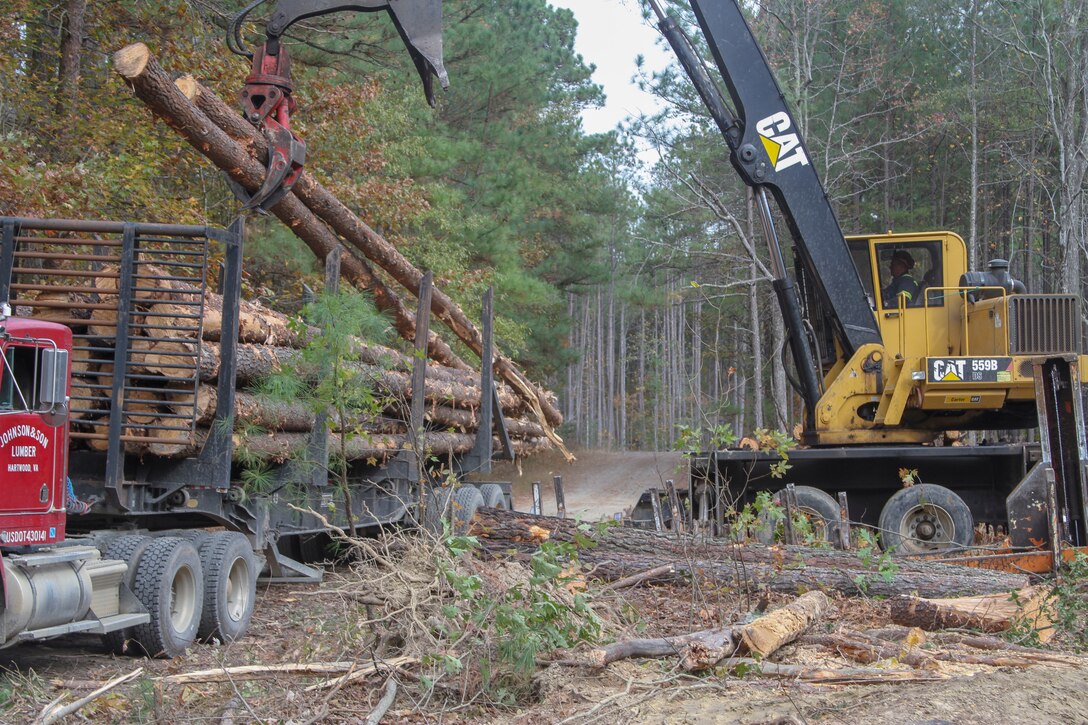 A logging crew conducts tree removal during a timber harvest on the training ranges of Fort A.P. Hill, Virginia.