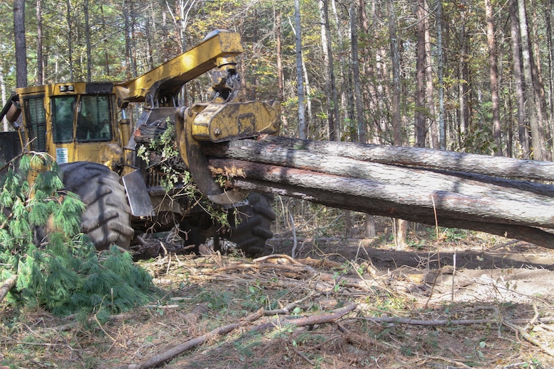 A logging crew conducts tree removal during a timber harvest on the training ranges of Fort A.P. Hill, Virginia.