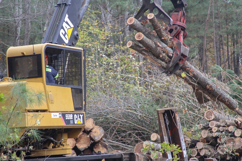 A logging crew conducts tree removal during a timber harvest on the training ranges of Fort A.P. Hill, Virginia.