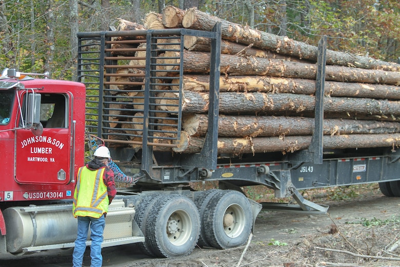 A logging crew conducts tree removal during a timber harvest on the training ranges of Fort A.P. Hill, Virginia.