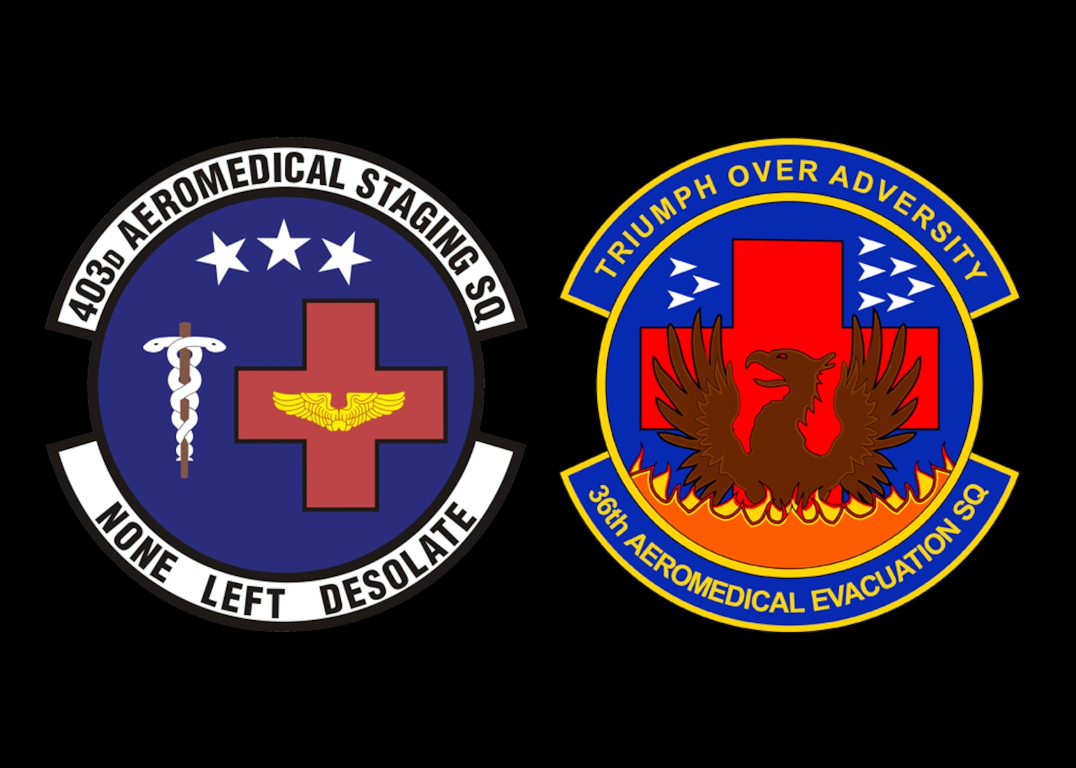 Graphic containing unit patches of the medical squadrons of the 403rd Wing, the 403rd Aeromedical Staging Squadron and the 36th Aeromedical Evacuation Squadron (U.S. Air Force graphic by Jessica L. Kendziorek)